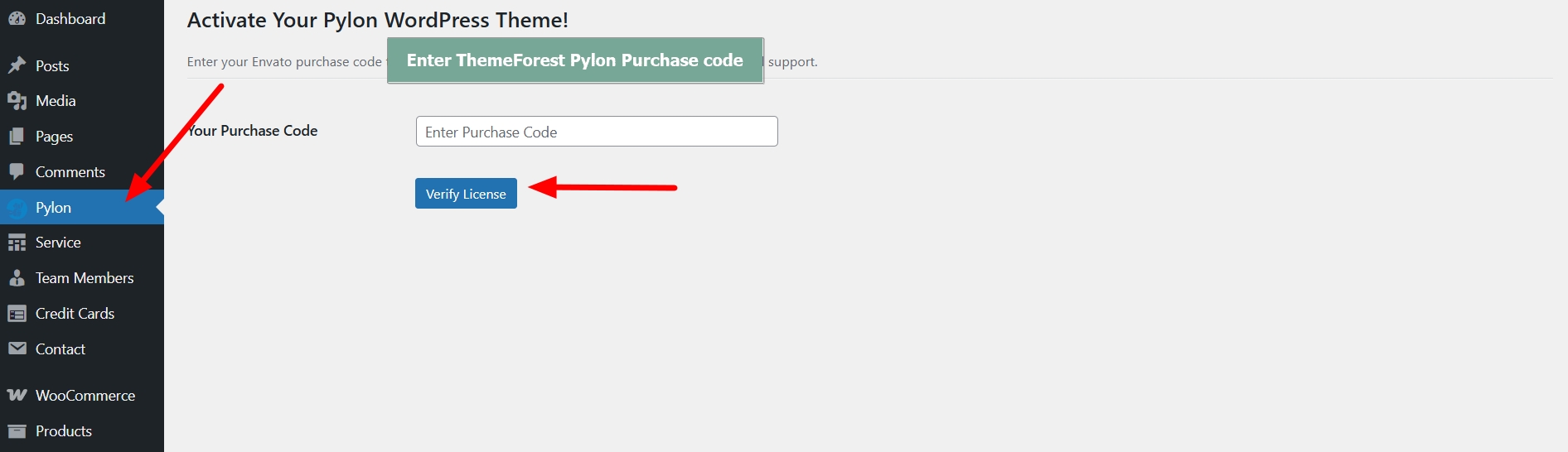 Purchase Code Example